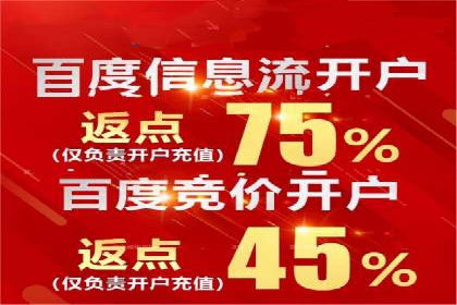 SEM代运营机构案例分析：优化策略详解